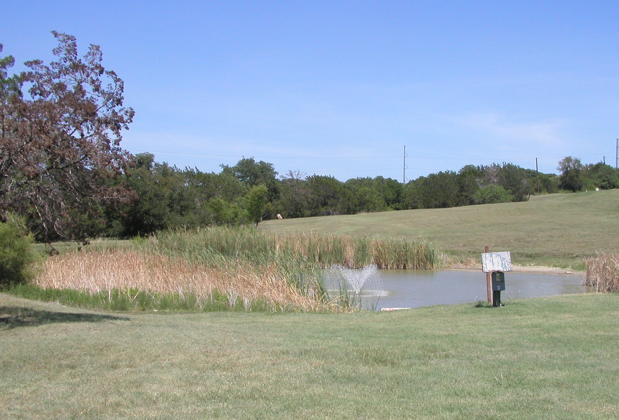 Lions Park Fishing Pond